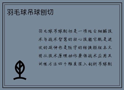羽毛球吊球刨切